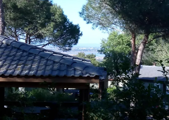 シャレー Senerite Piscine Clim 6 Pl アグド