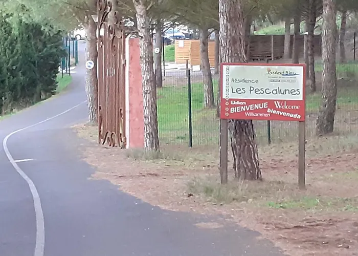 Senerite Piscine Clim 6 Pl シャレー